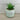 Cement Pot with Succulent - Green