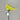 Solar Bird Stake - Yellow