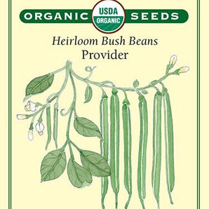 Veggie Seeds - Provider Heirloom Bush Bean