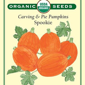 Veggie Seeds - Spookie Pumpkin