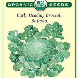 Veggie Seeds - Batavia Broccoli