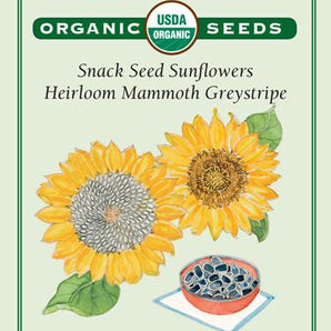 Flower Seeds - Heirloom Mammoth Greystripe Sunflower