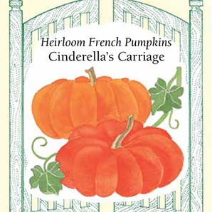 Veggie Seeds - Cinderella's Carriage Pumpkin
