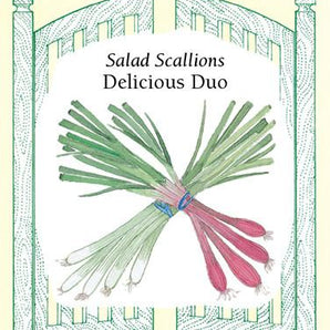 Veggie Seeds - Delicious Duo Scallions