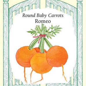 Veggie Seeds - Round Romeo Carrot
