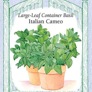 Herb Seeds - Italian Cameo Basil