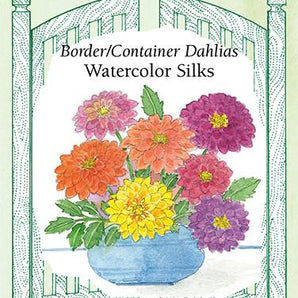 Flower Seeds - Watercolor Silks Dahlia
