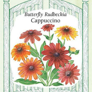 Flower Seeds - Cappuccino Rudbeckia