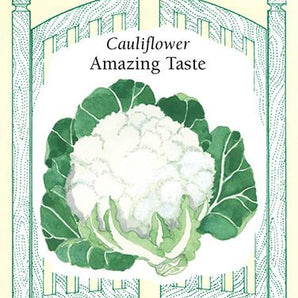 Veggie Seeds - Amazing Taste Cauliflower