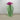 Garden Decor - Green Cactus